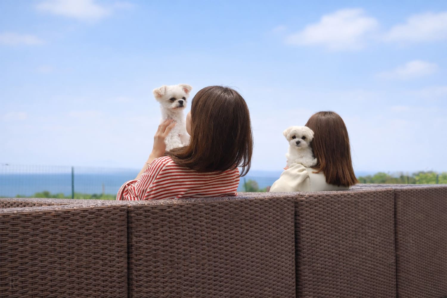 愛犬とグランピング
