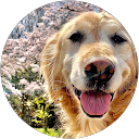 川元旭 profile picture